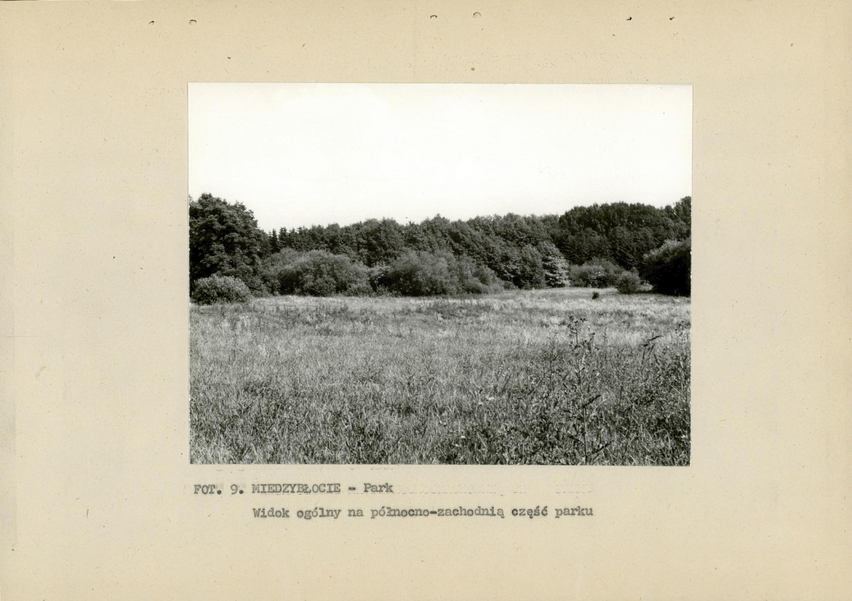 Ewidencja parkowa, skan nr 24