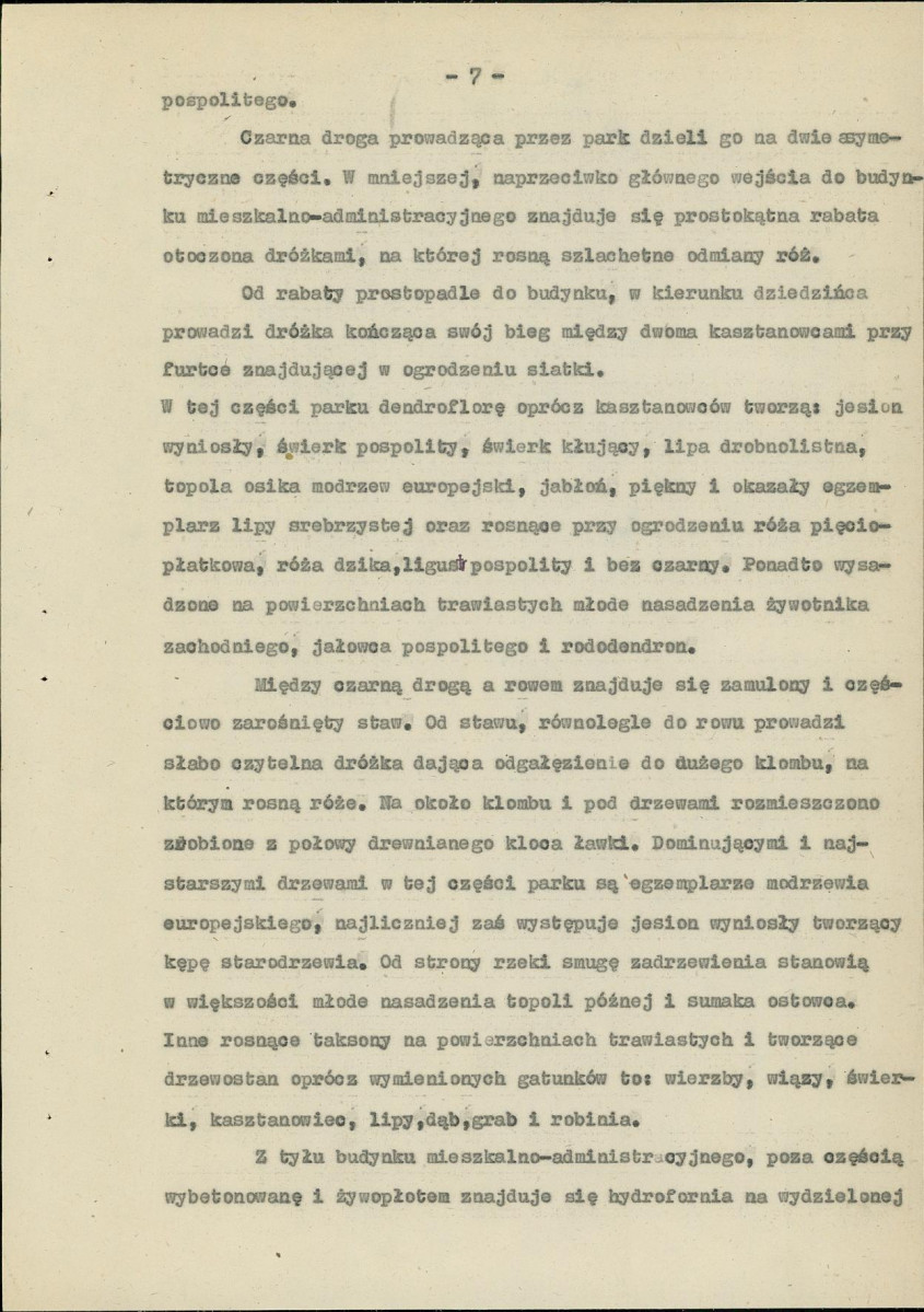 Ewidencja parkowa, skan nr 11