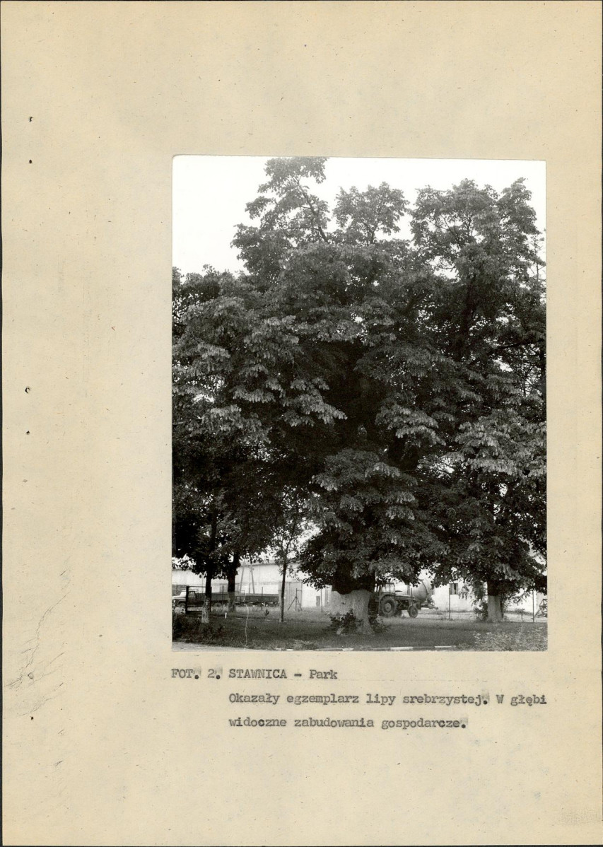 Ewidencja parkowa, skan nr 17