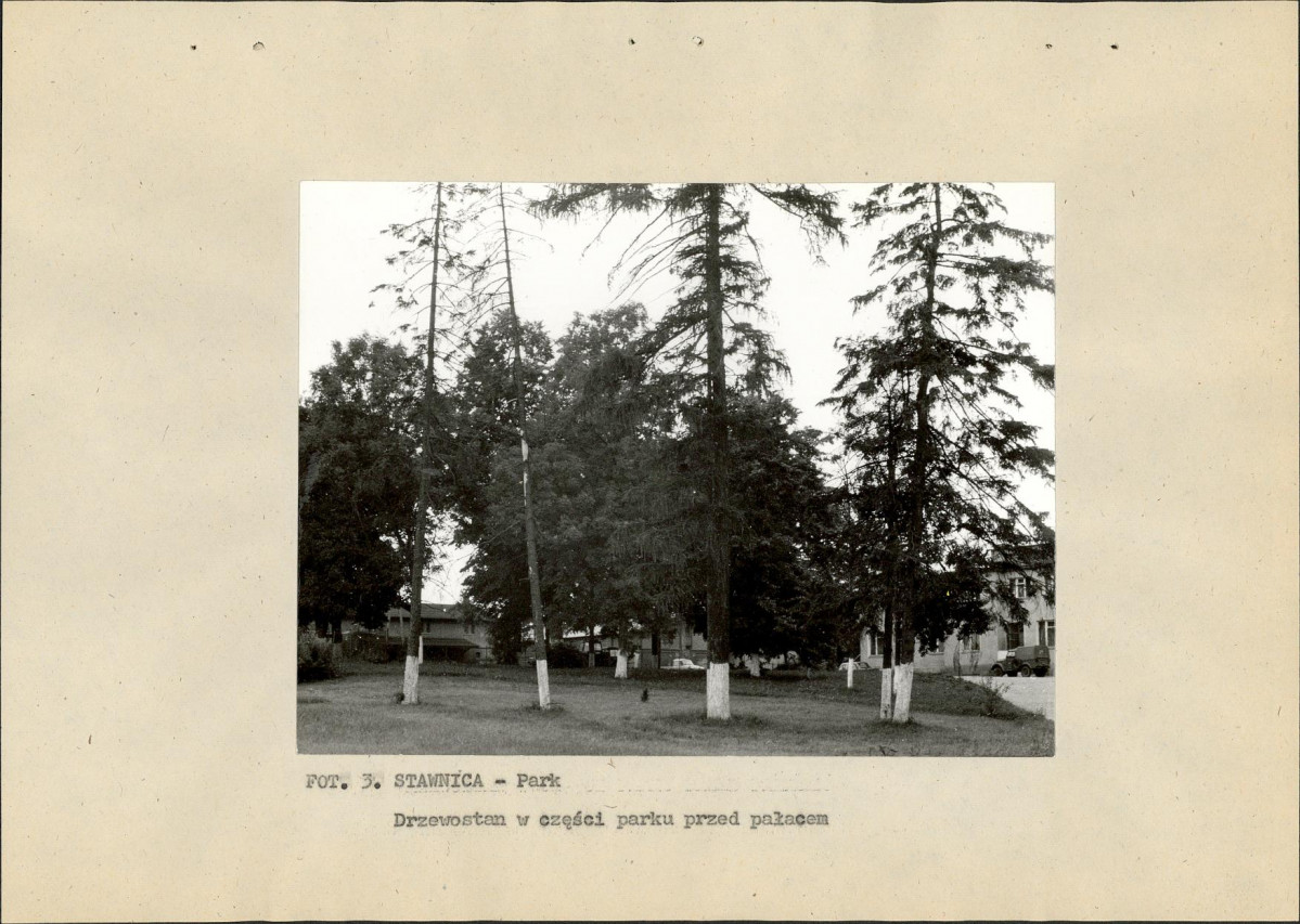 Ewidencja parkowa, skan nr 18