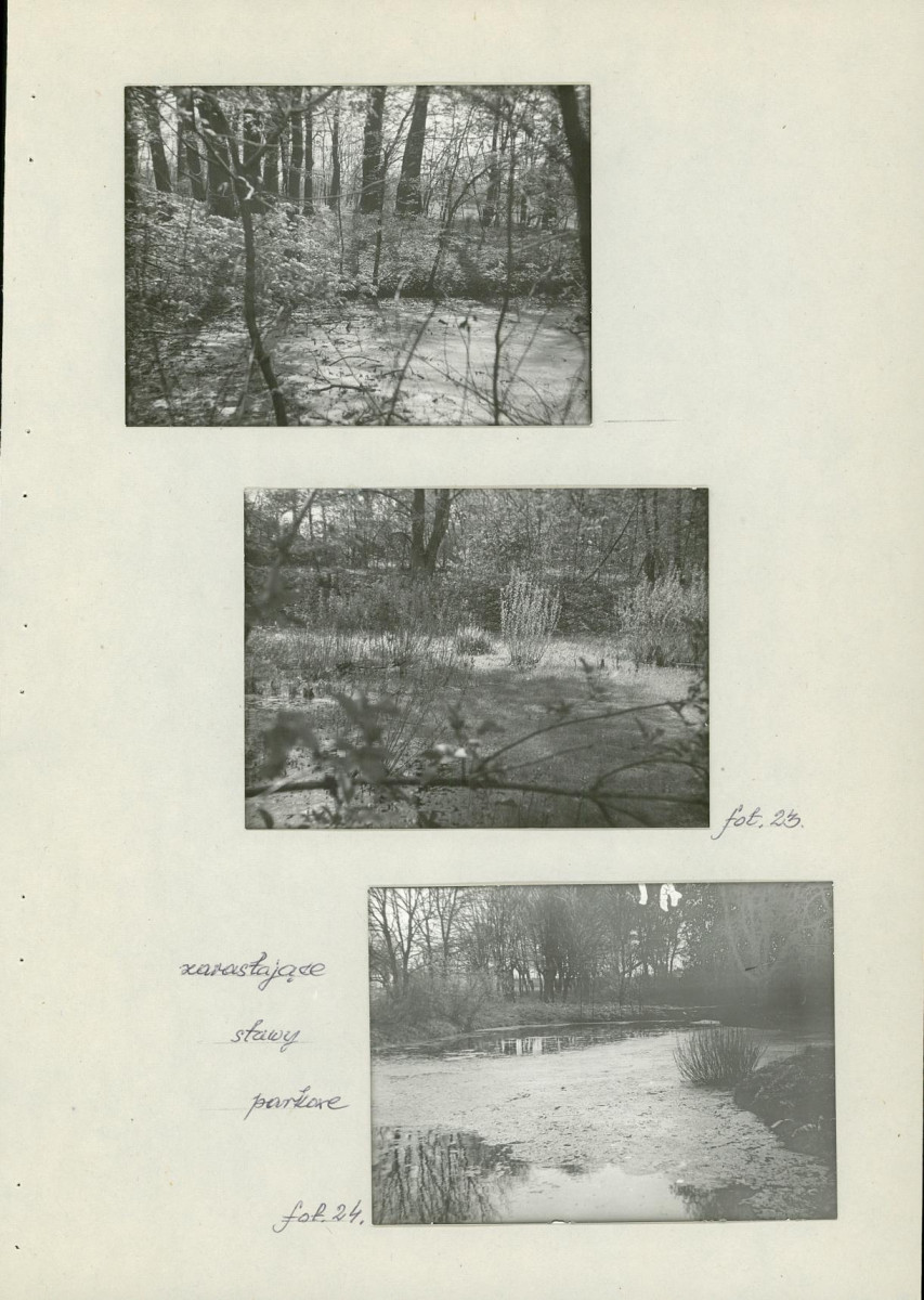 Ewidencja parkowa, skan nr 38