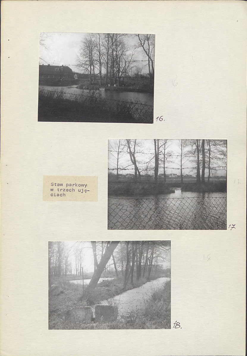 Ewidencja parkowa, skan nr 29