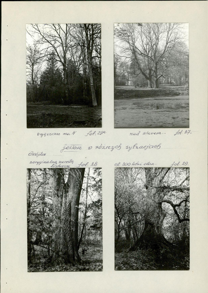 Ewidencja parkowa, skan nr 40