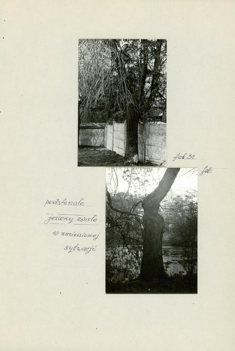 Ewidencja parkowa, skan nr 41