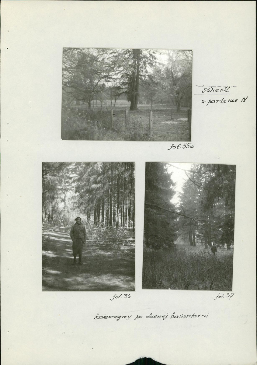 Ewidencja parkowa, skan nr 43