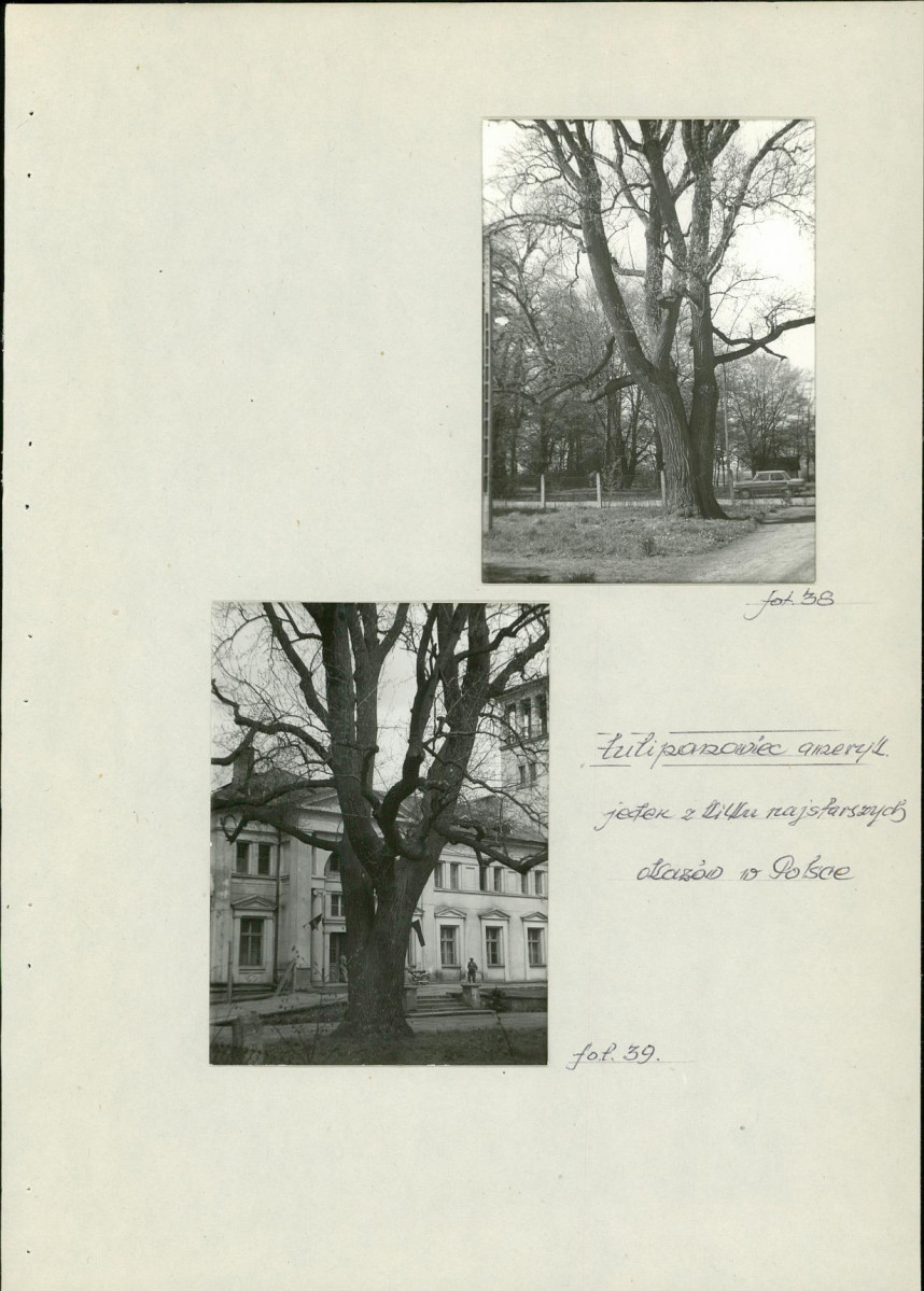 Ewidencja parkowa, skan nr 44