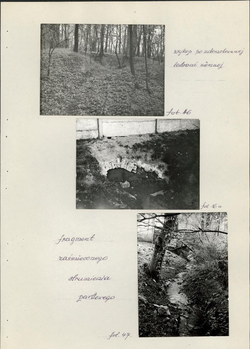 Ewidencja parkowa, skan nr 47