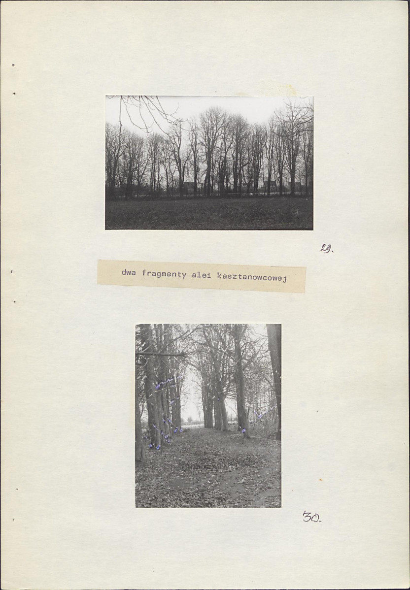 Ewidencja parkowa, skan nr 34