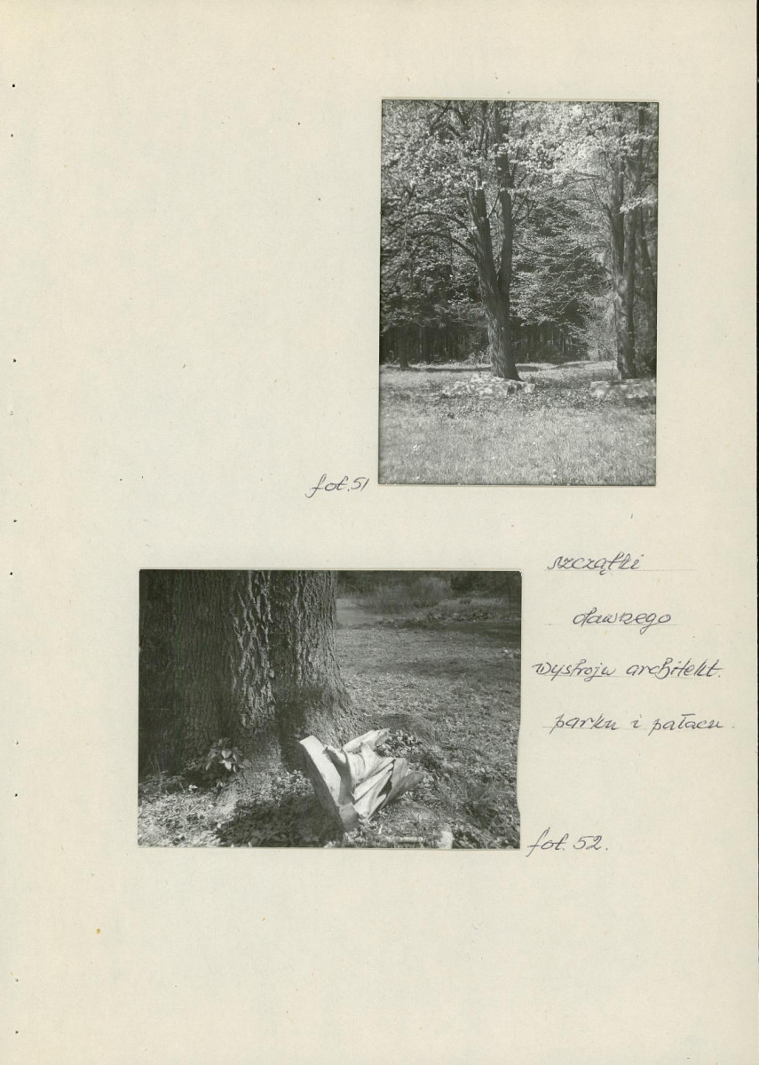 Ewidencja parkowa, skan nr 49
