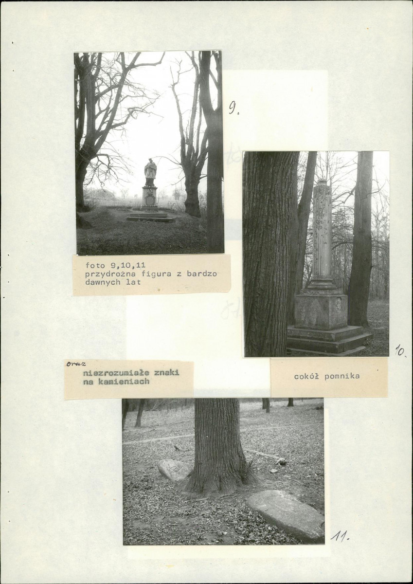 Ewidencja parkowa, skan nr 35