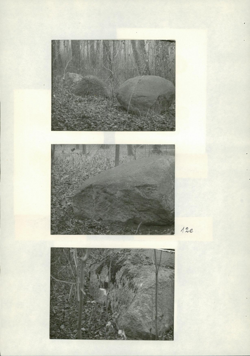 Ewidencja parkowa, skan nr 36