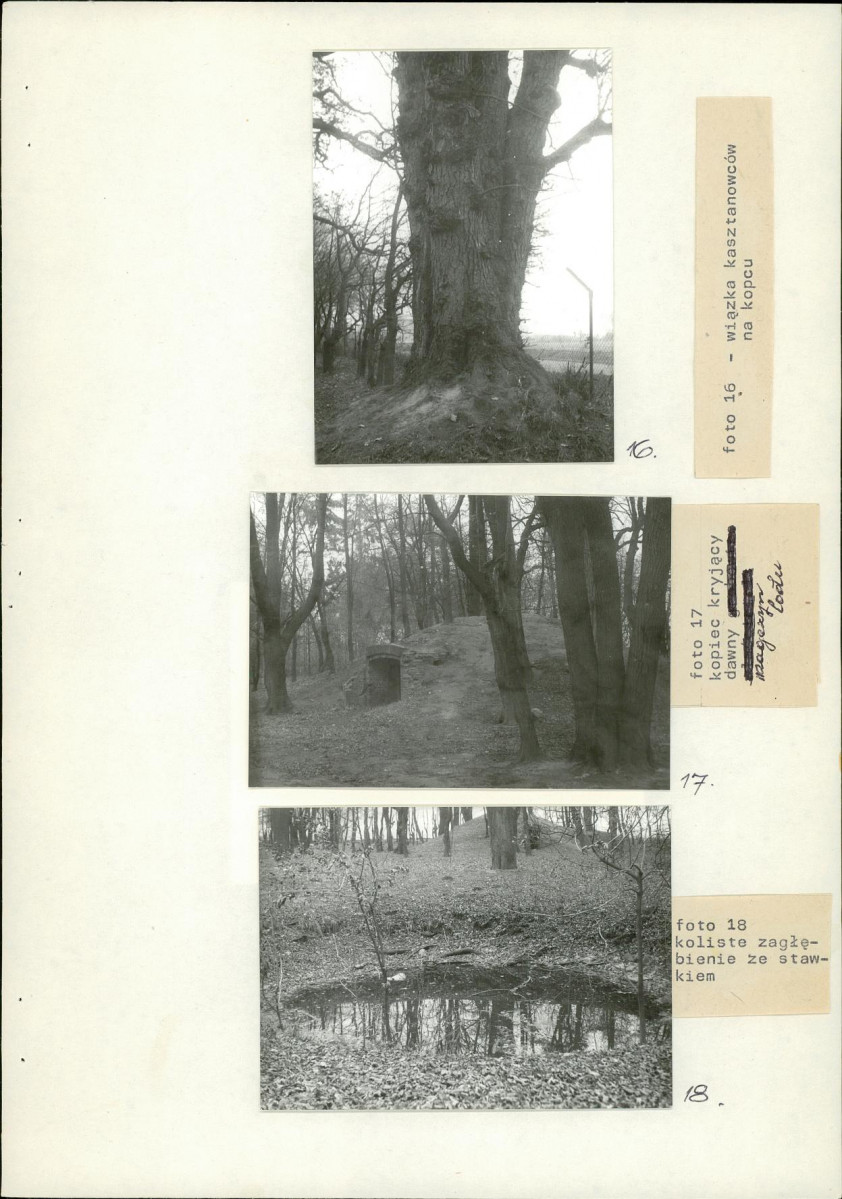 Ewidencja parkowa, skan nr 40