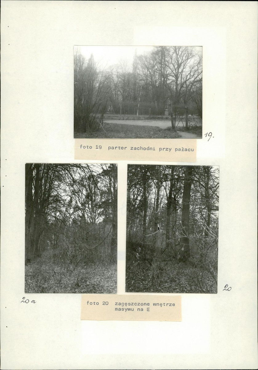 Ewidencja parkowa, skan nr 42