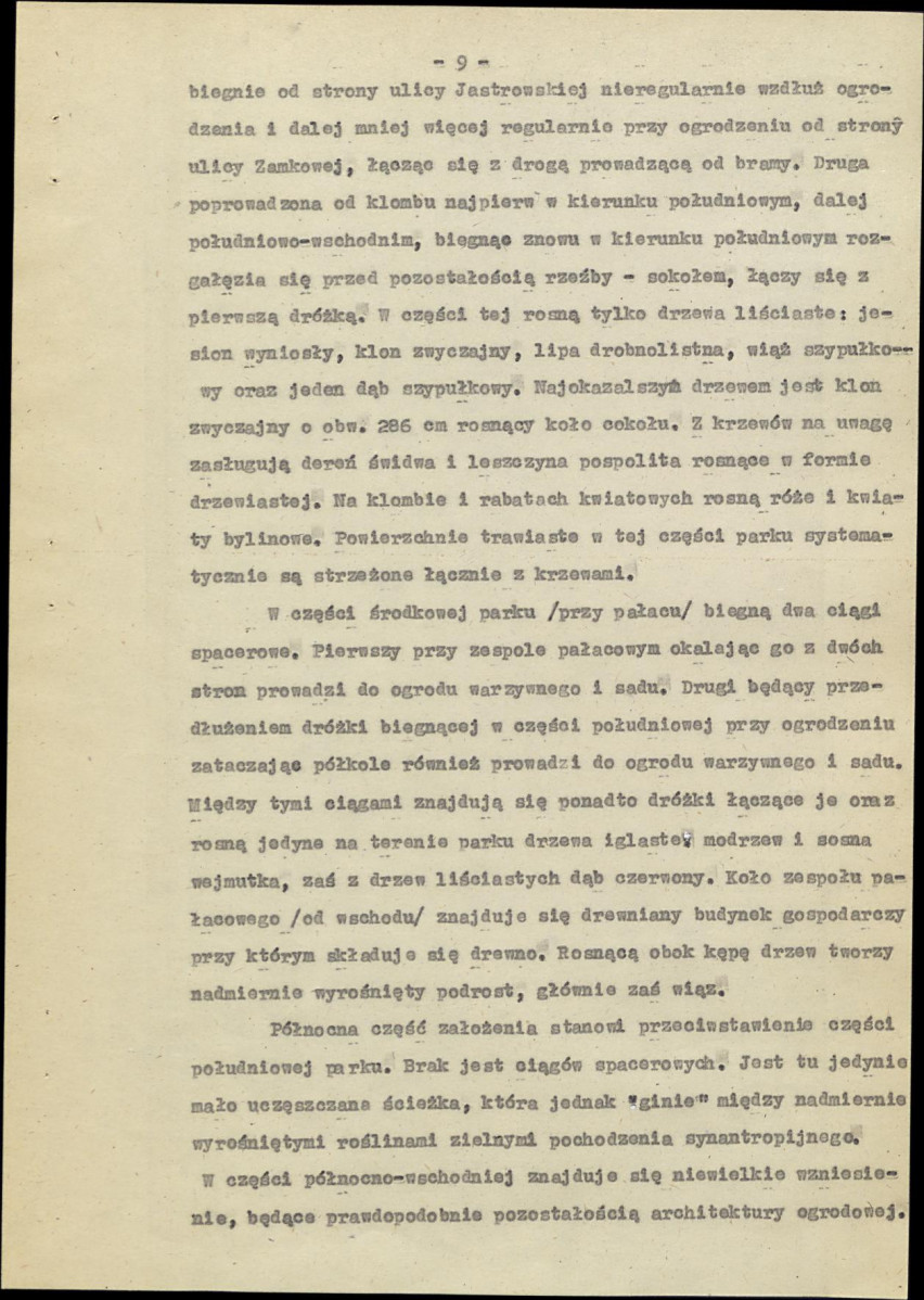 Ewidencja parkowa, skan nr 17