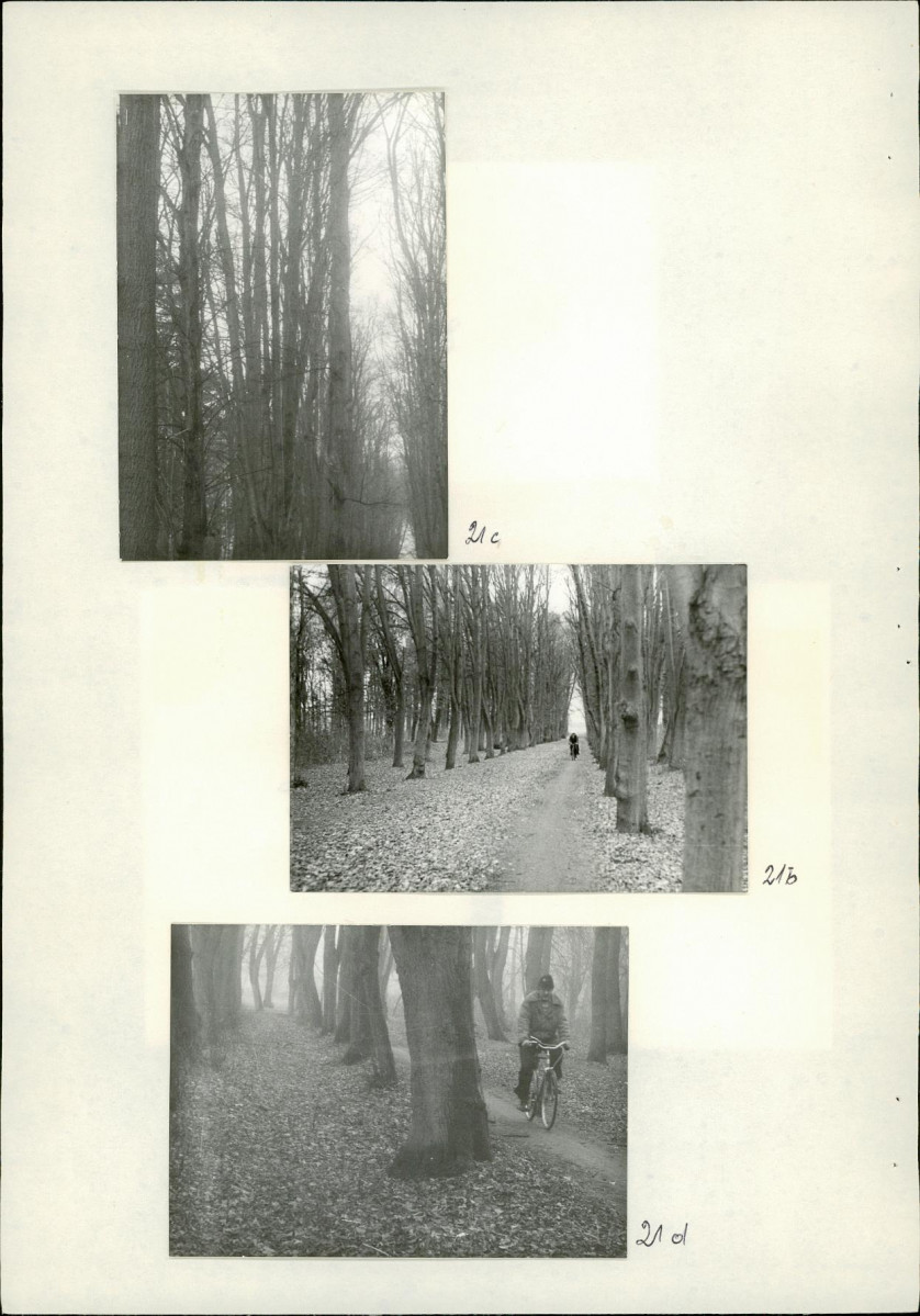 Ewidencja parkowa, skan nr 43