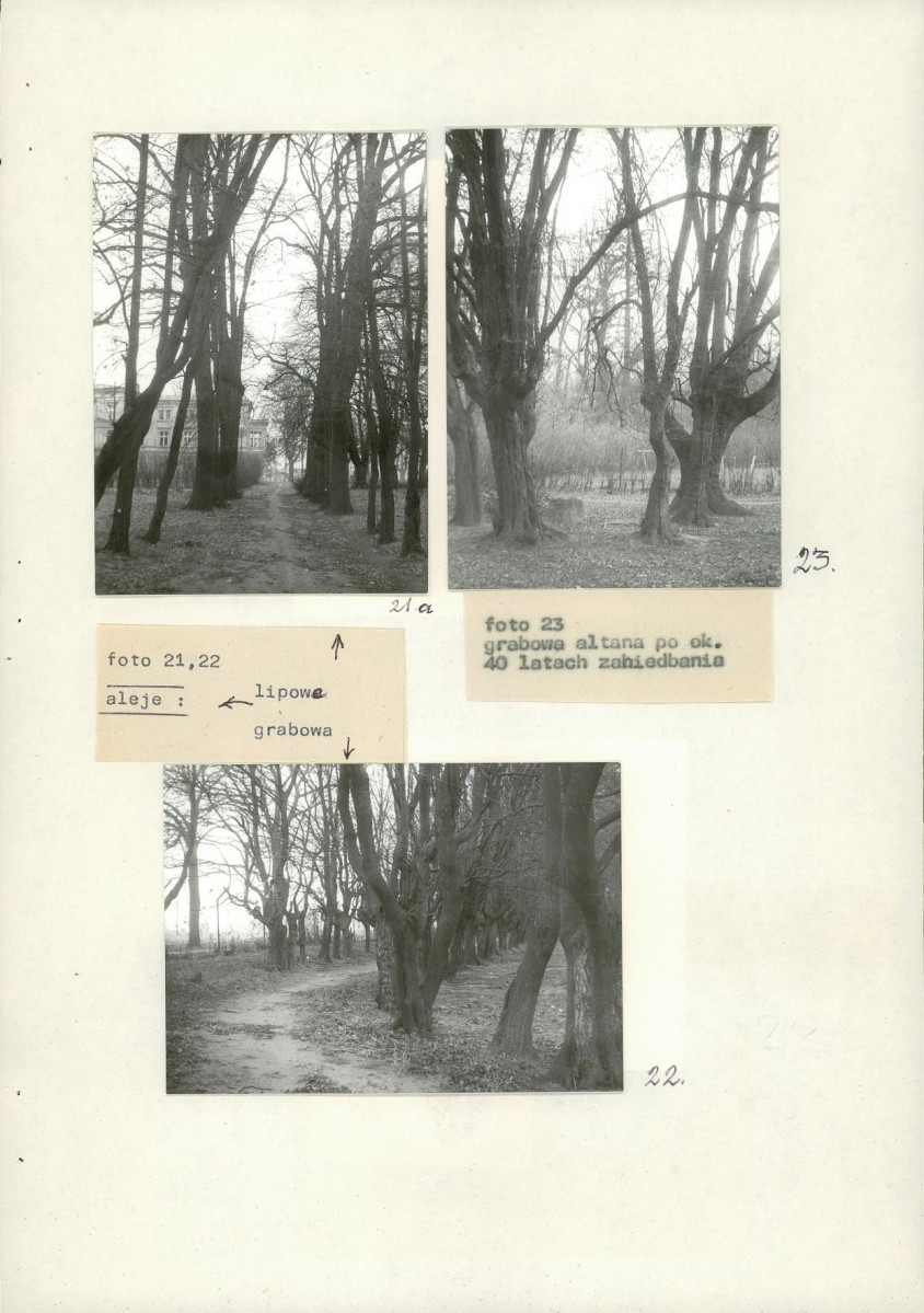 Ewidencja parkowa, skan nr 44