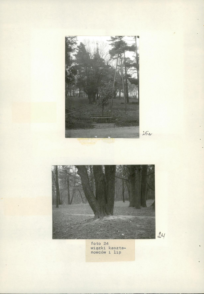 Ewidencja parkowa, skan nr 45