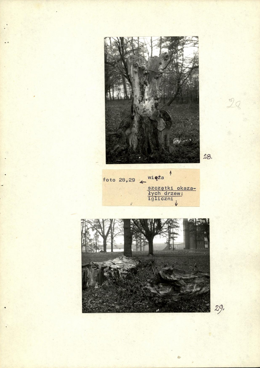 Ewidencja parkowa, skan nr 49