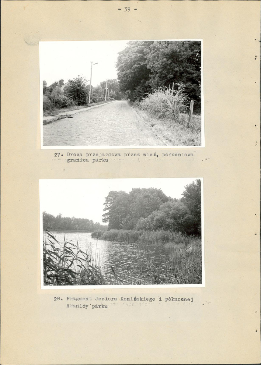 EP - Ewidencja parkowa, skan nr 48