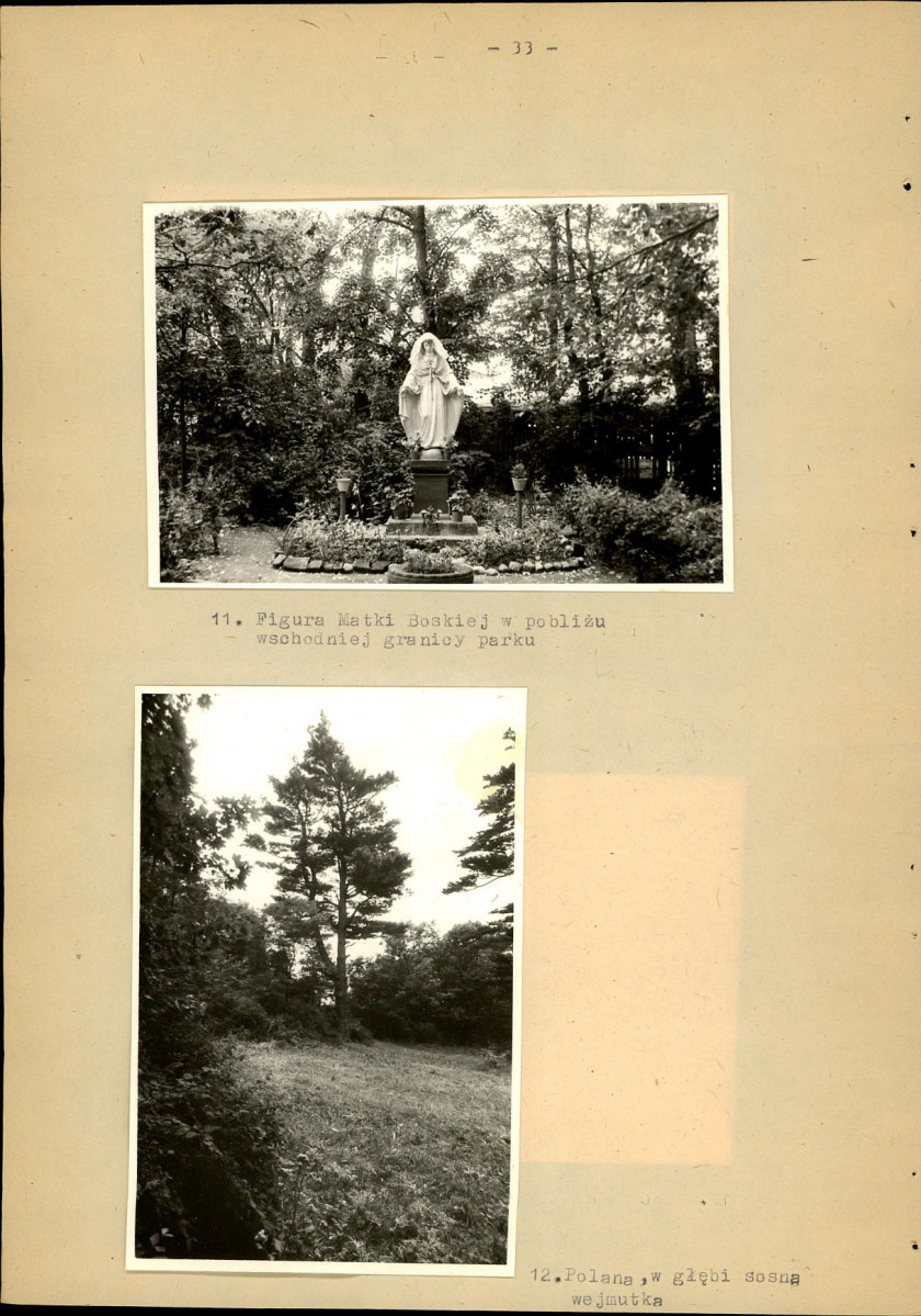 Ewidencja parkowa, skan nr 40