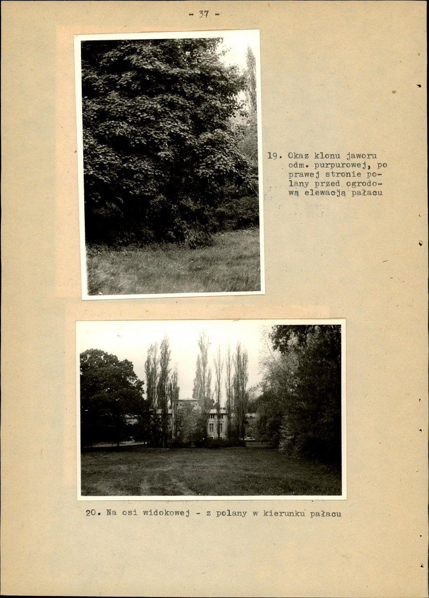 Ewidencja parkowa, skan nr 44
