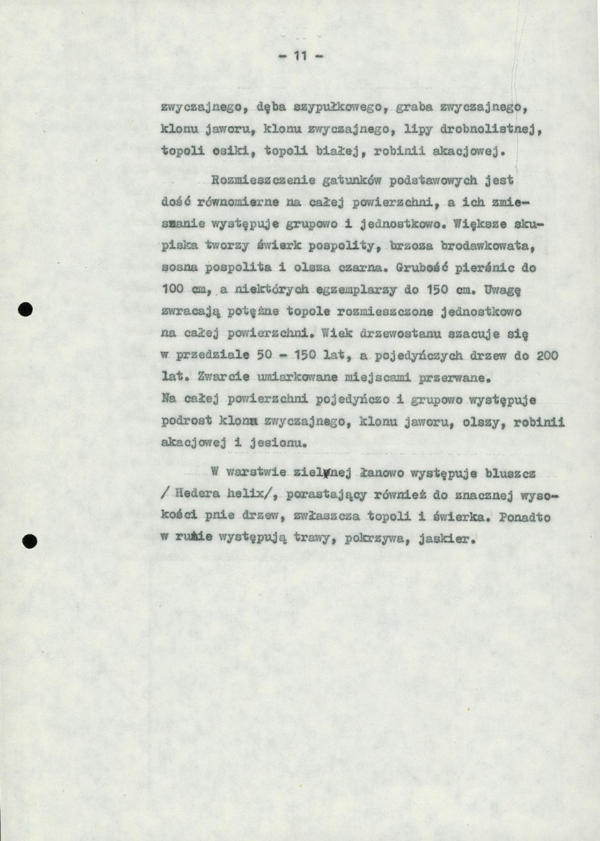 Ewidencja parkowa, skan nr 19