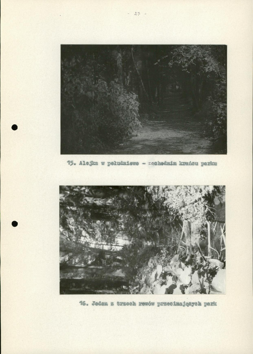 Ewidencja parkowa, skan nr 35