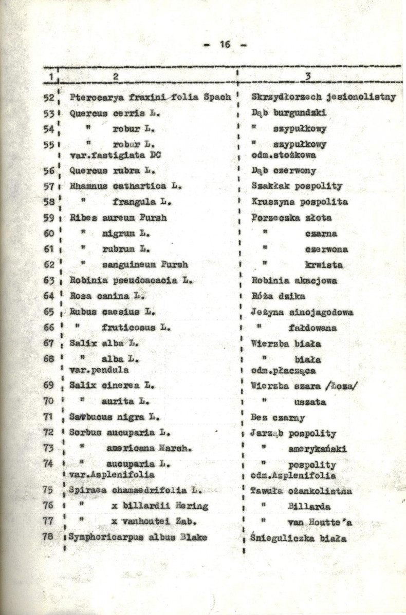 EP - Ewidencja parkowa, skan nr 22