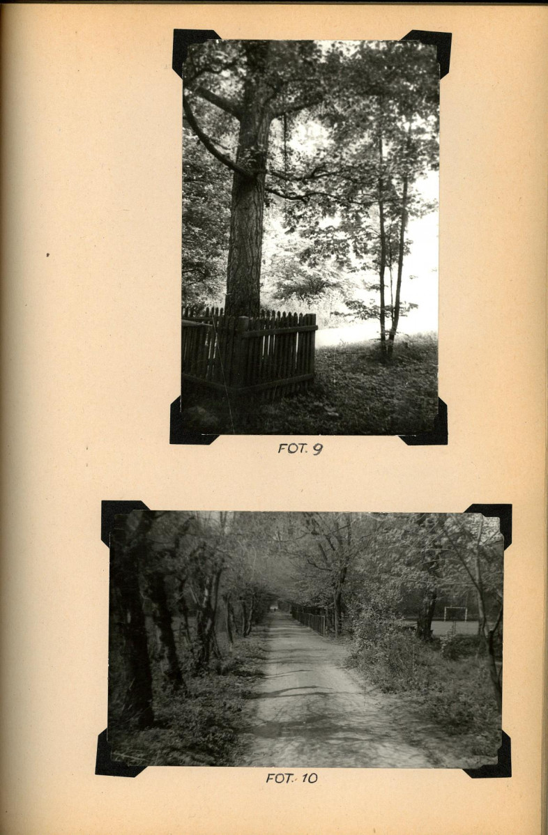 EP - Ewidencja parkowa, skan nr 61