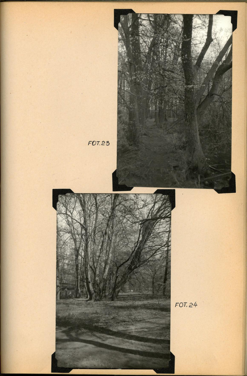 EP - Ewidencja parkowa, skan nr 68