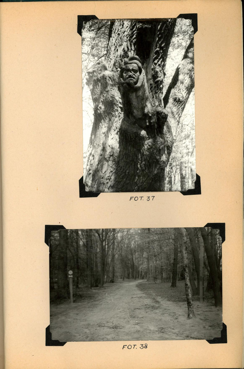 EP - Ewidencja parkowa, skan nr 75