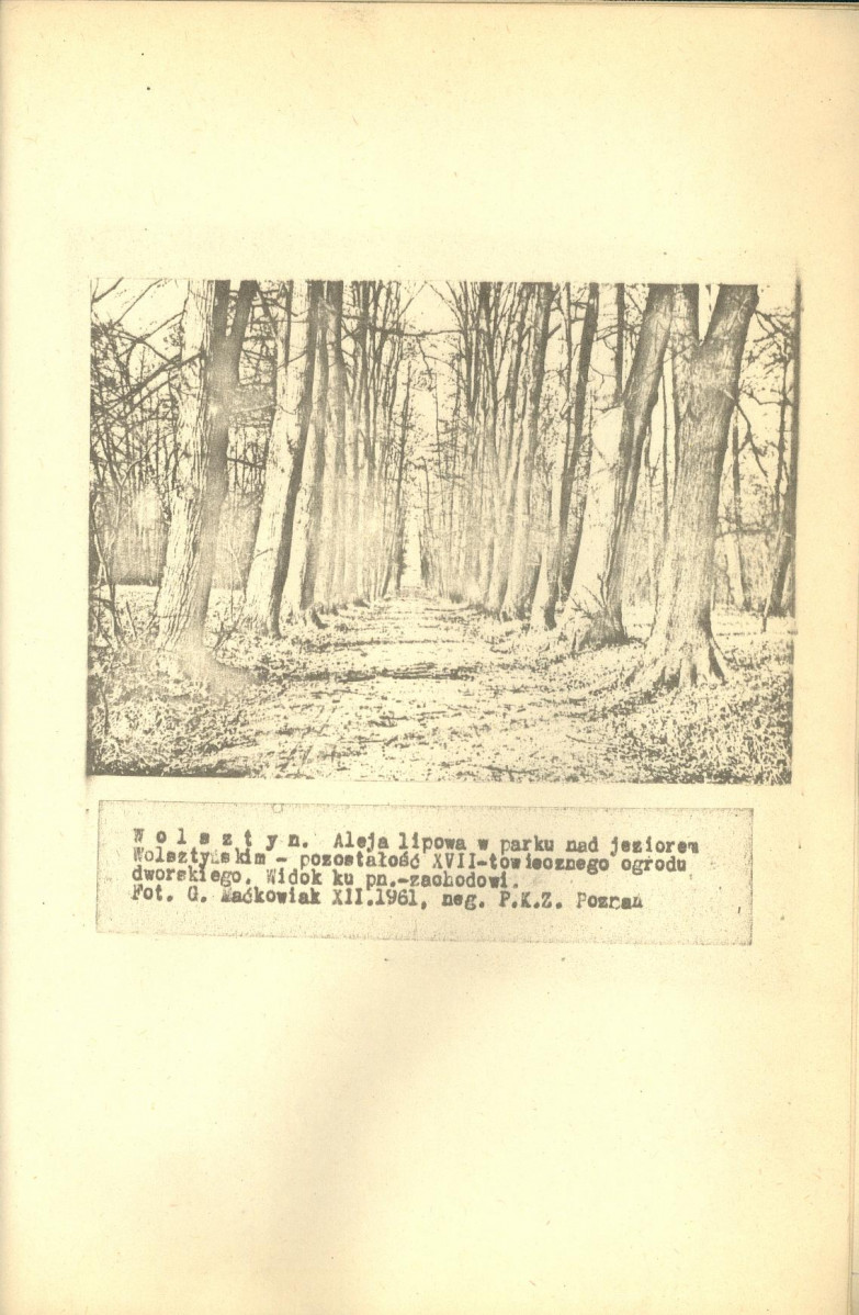 EP - Ewidencja parkowa, skan nr 77