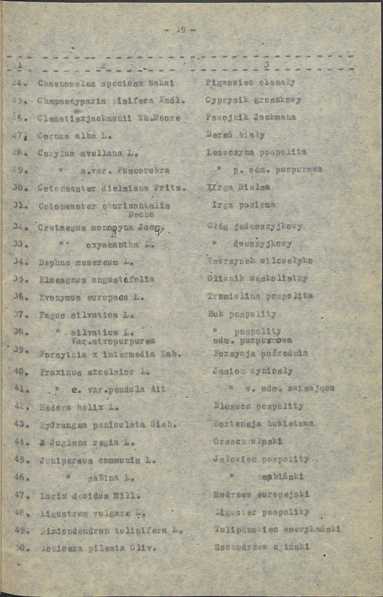 EP - Ewidencja parkowa, skan nr 26