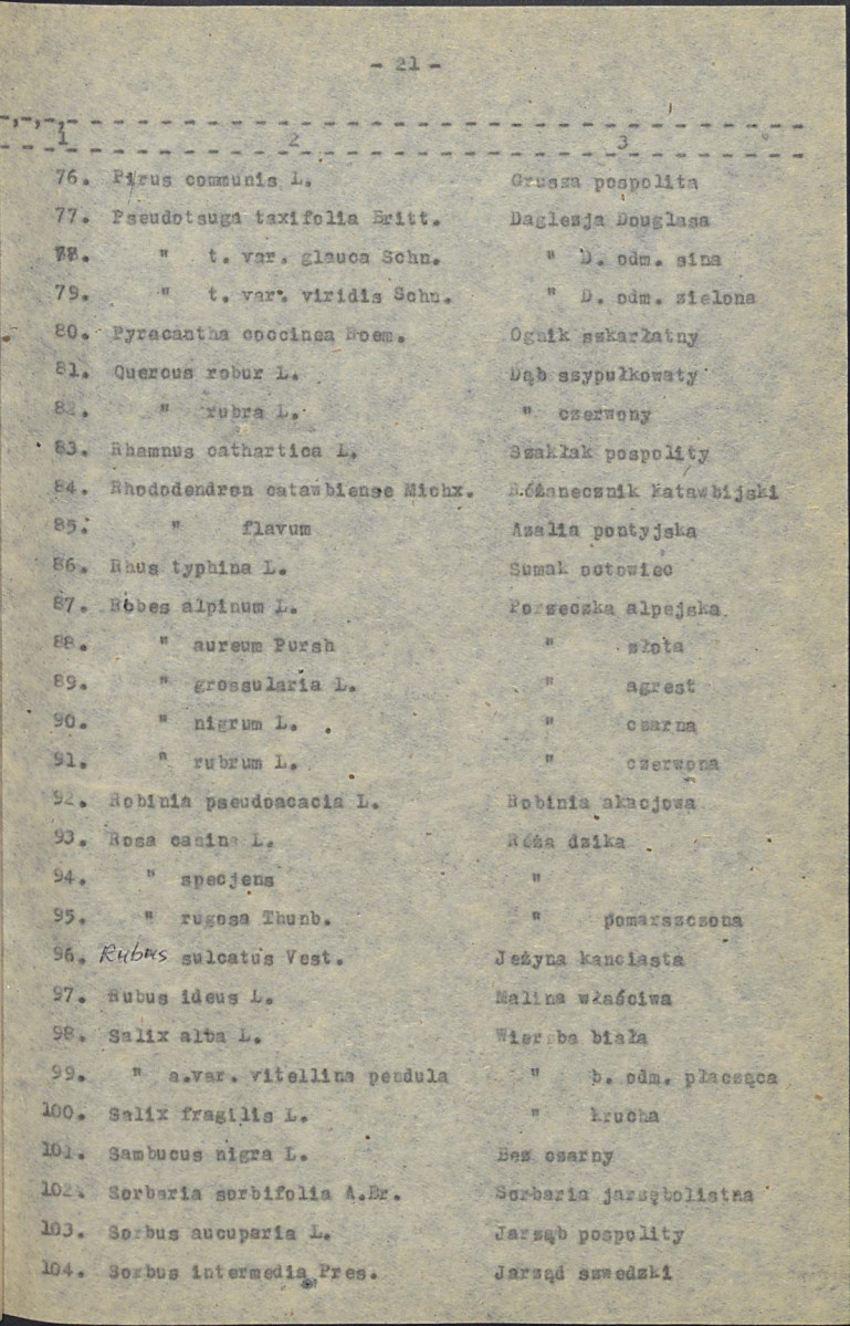 EP - Ewidencja parkowa, skan nr 28