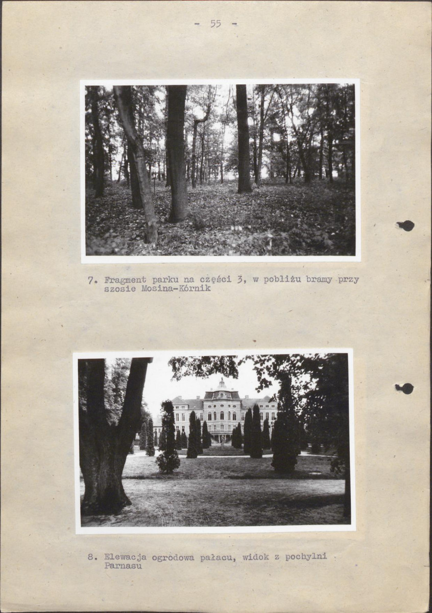 EP - Ewidencja parkowa, skan nr 61