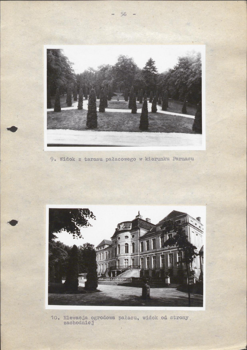 EP - Ewidencja parkowa, skan nr 62