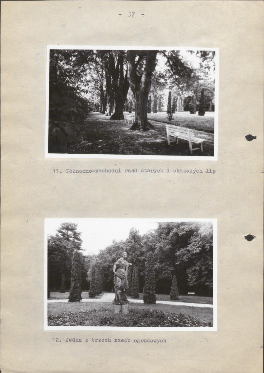 EP - Ewidencja parkowa, skan nr 63