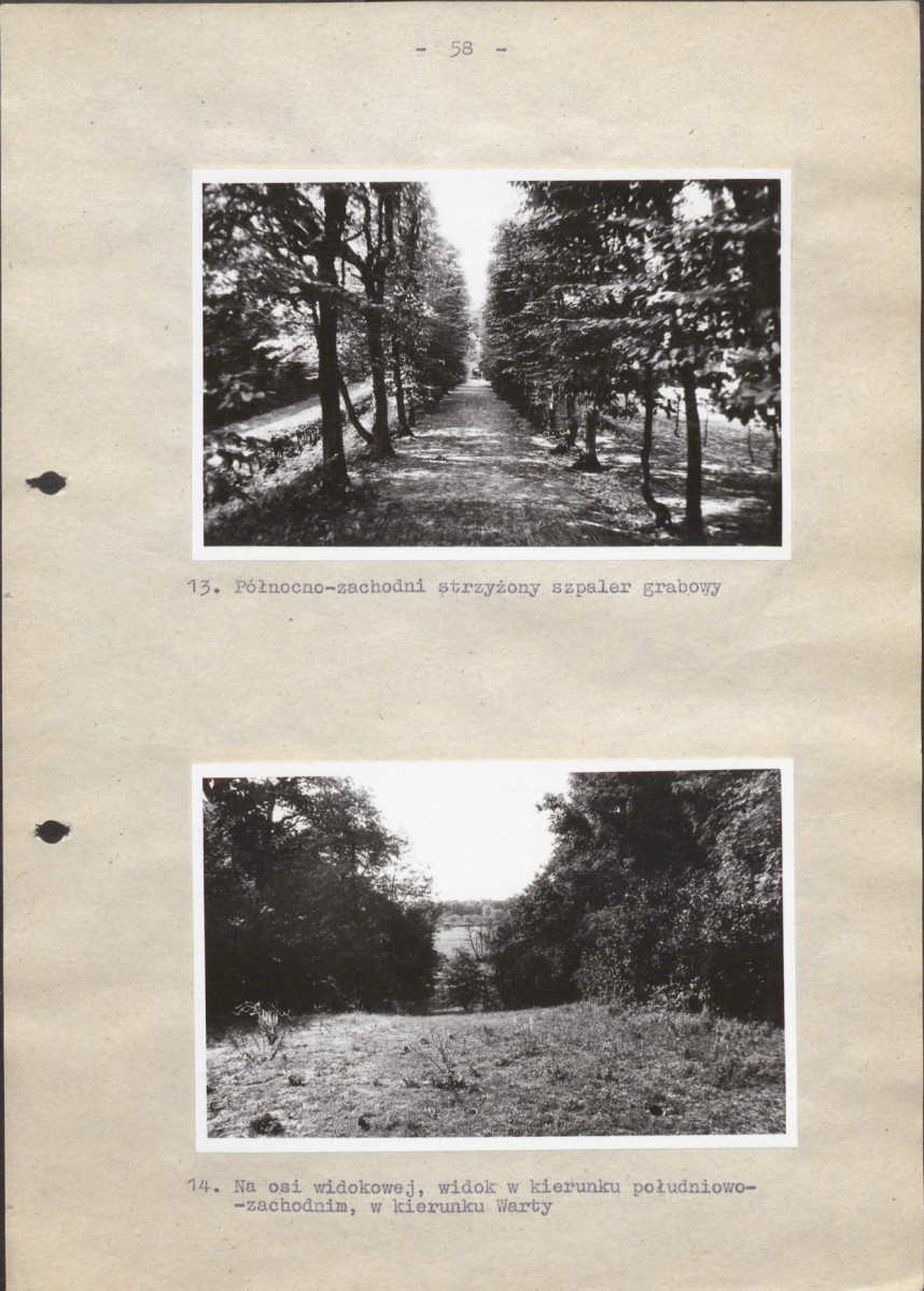 EP - Ewidencja parkowa, skan nr 64