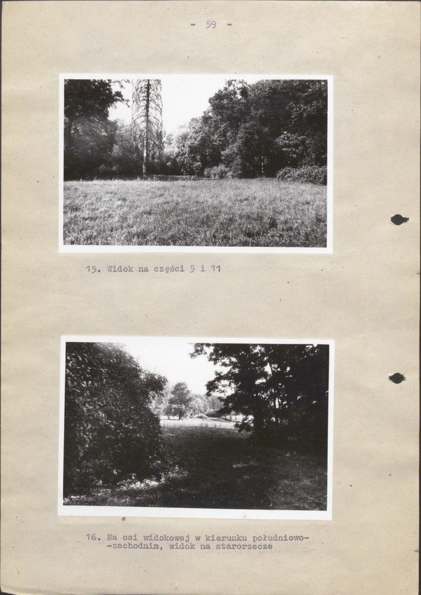 EP - Ewidencja parkowa, skan nr 65