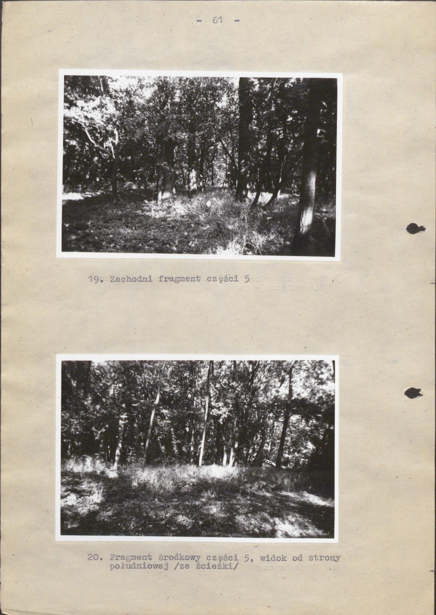 EP - Ewidencja parkowa, skan nr 67
