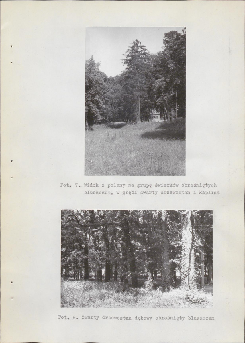 Ewidencja parkowa, skan nr 23