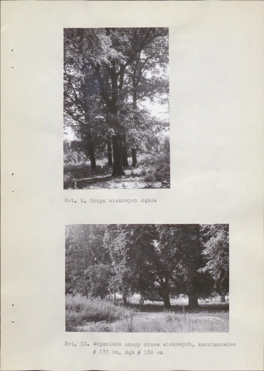 Ewidencja parkowa, skan nr 24