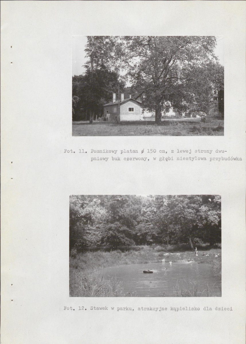 Ewidencja parkowa, skan nr 25