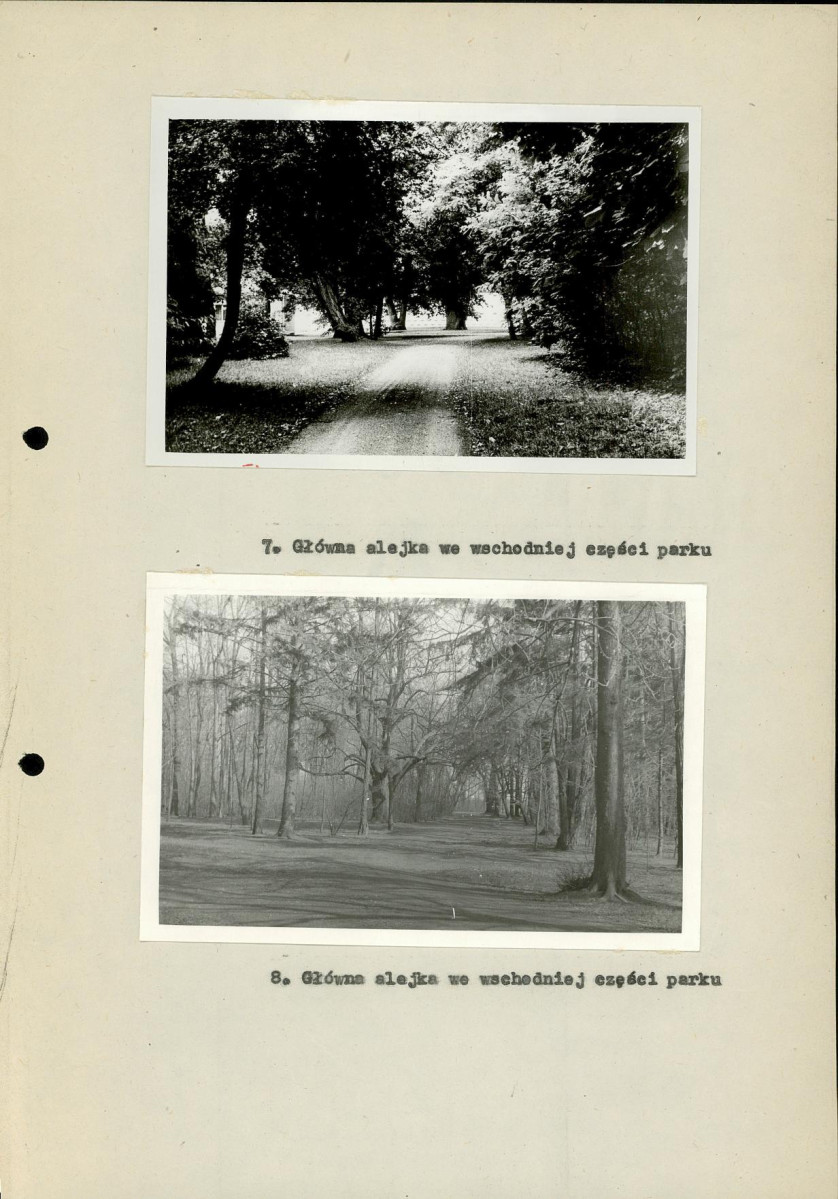 EP - Ewidencja parkowa, skan nr 40