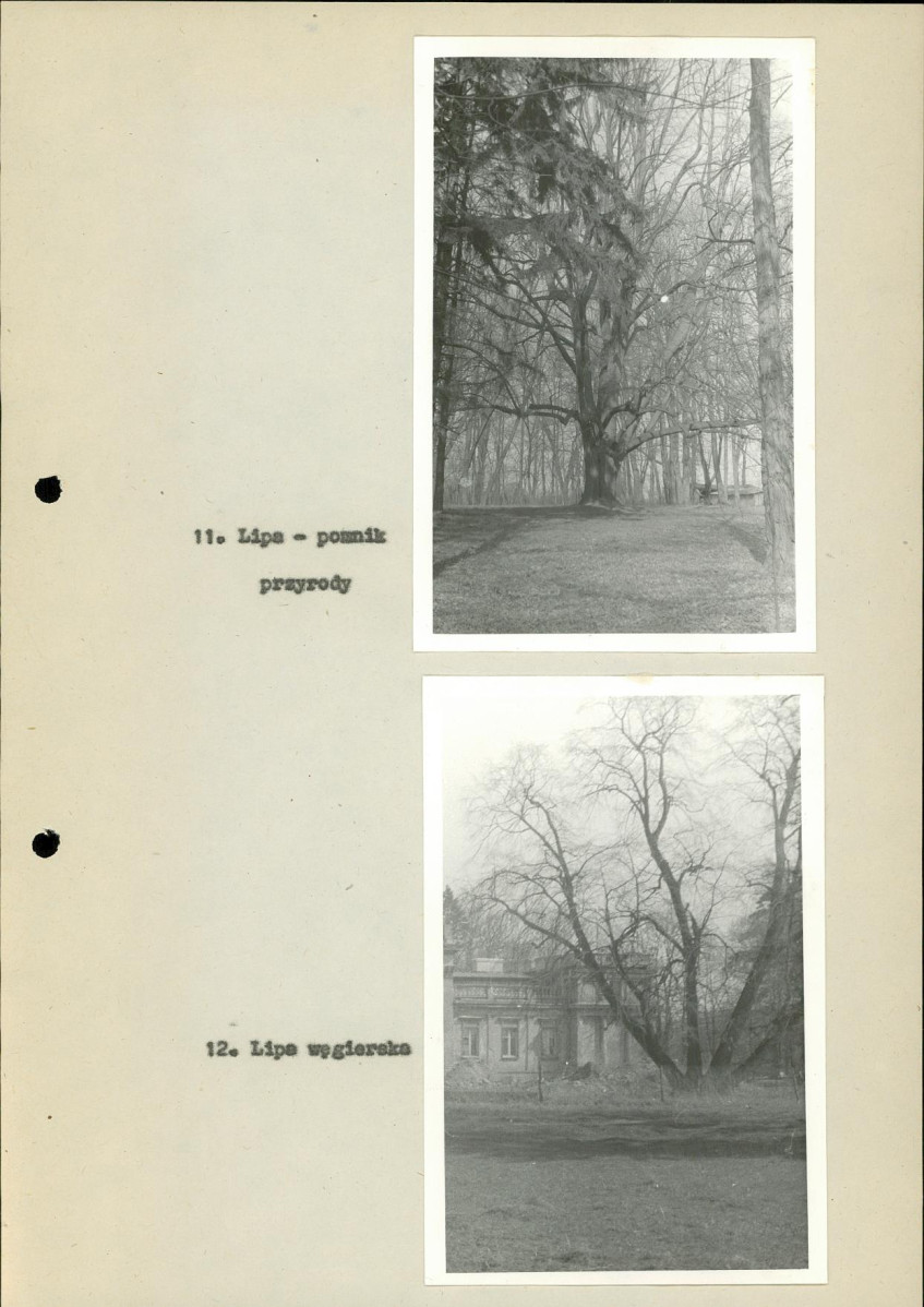 EP - Ewidencja parkowa, skan nr 42