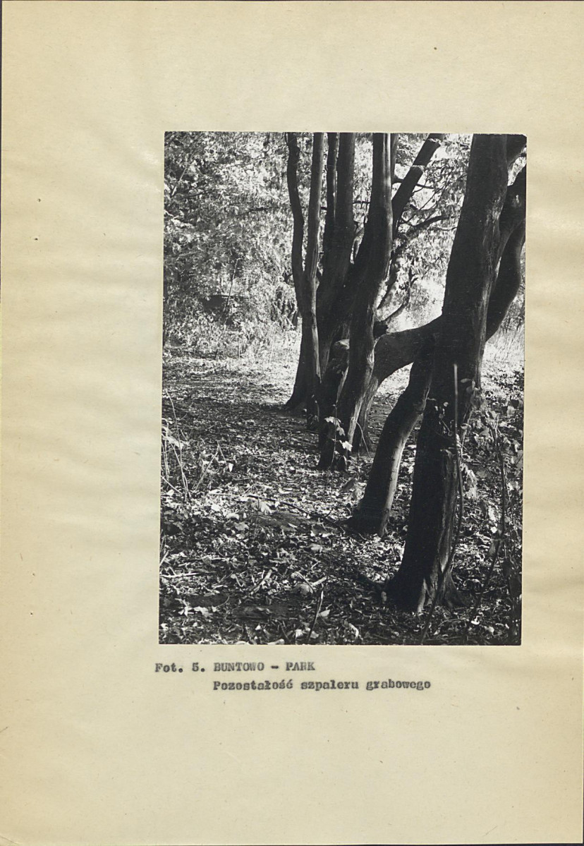Ewidencja parkowa, skan nr 25