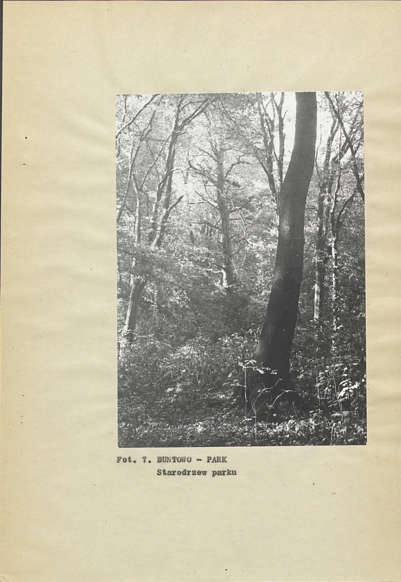 Ewidencja parkowa, skan nr 27
