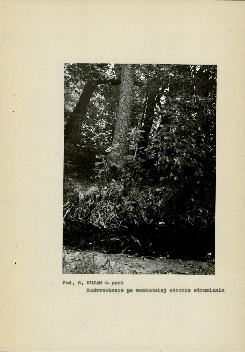 Ewidencja parkowa, skan nr 32