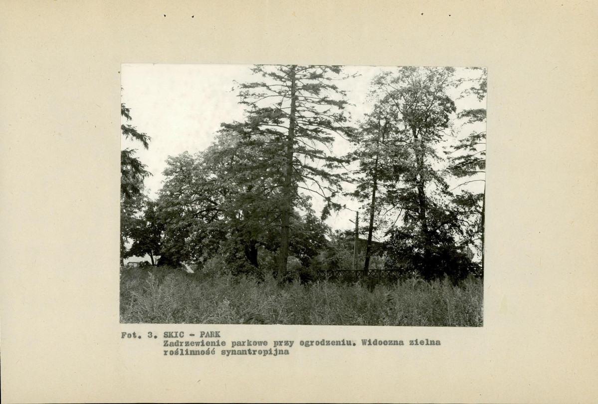 Ewidencja parkowa, skan nr 20