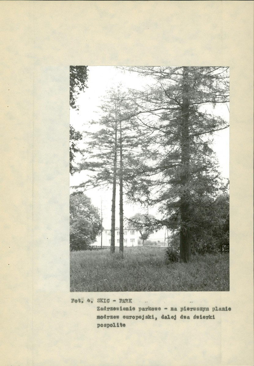 Ewidencja parkowa, skan nr 21